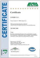 CERTIFICATO EQA n.QA110431_07-12-2014